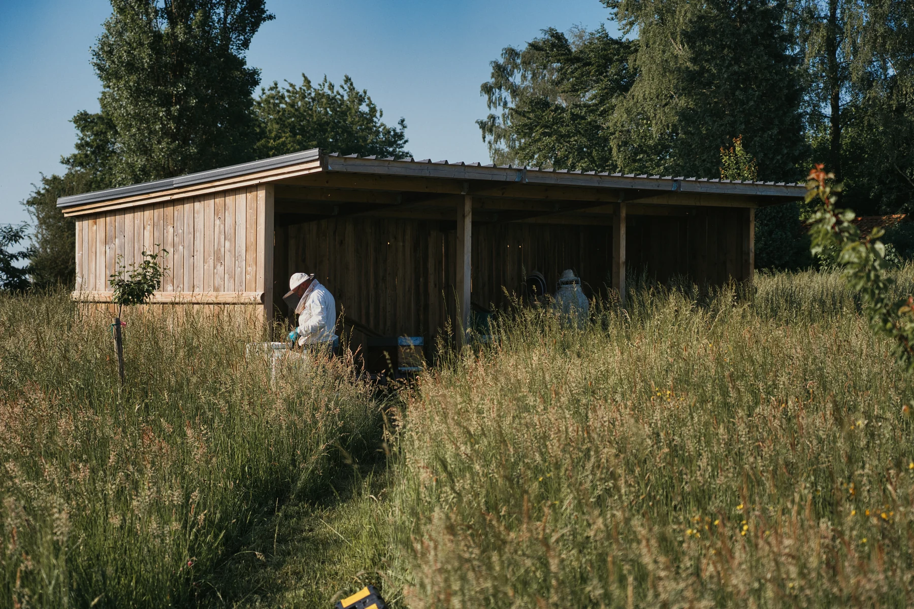 Le rucher couvert dans son environnement au printemps 2026.
