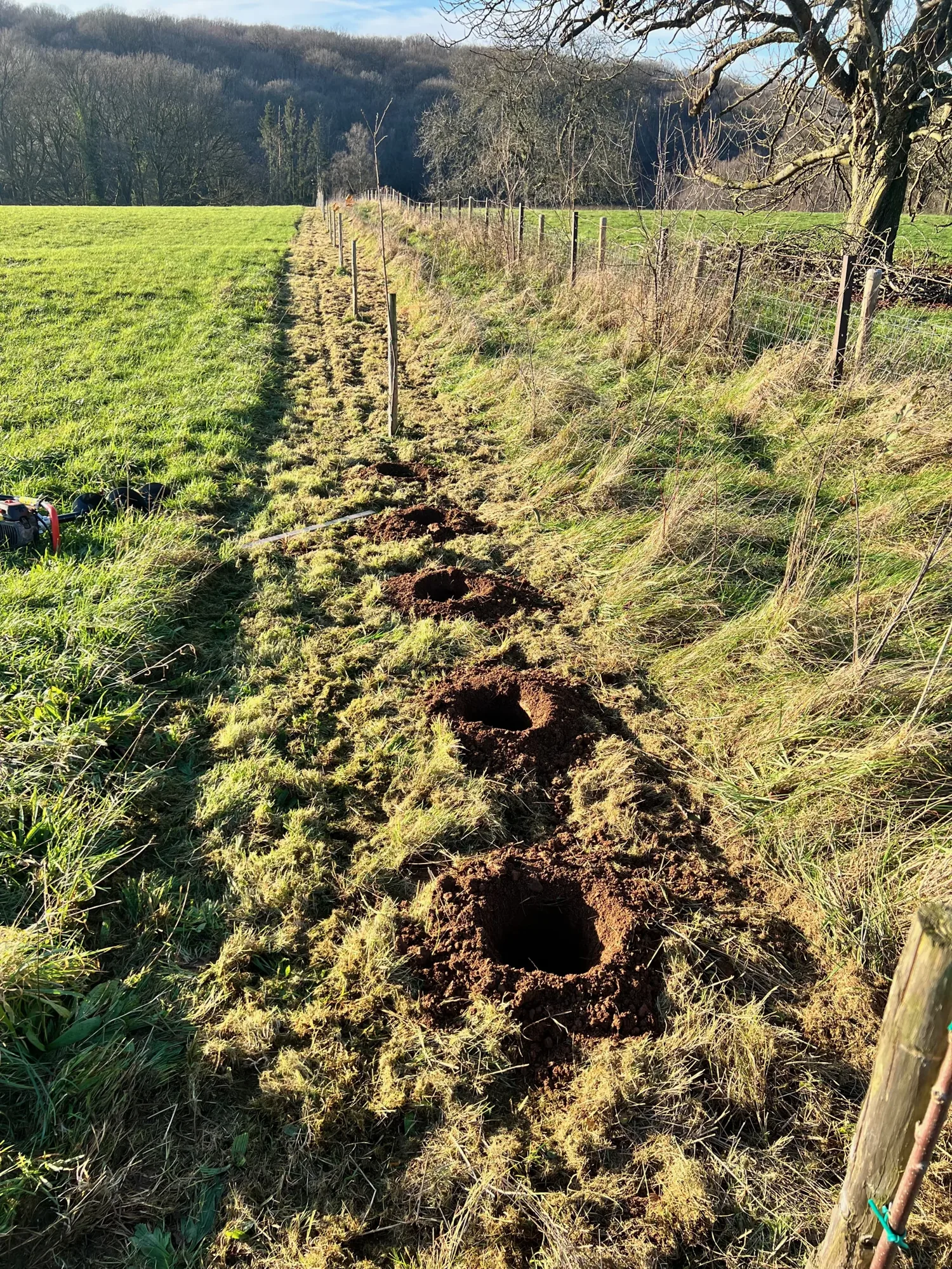 Une ligne de plantation préparée dans la prairie, le 30 novembre 2024.