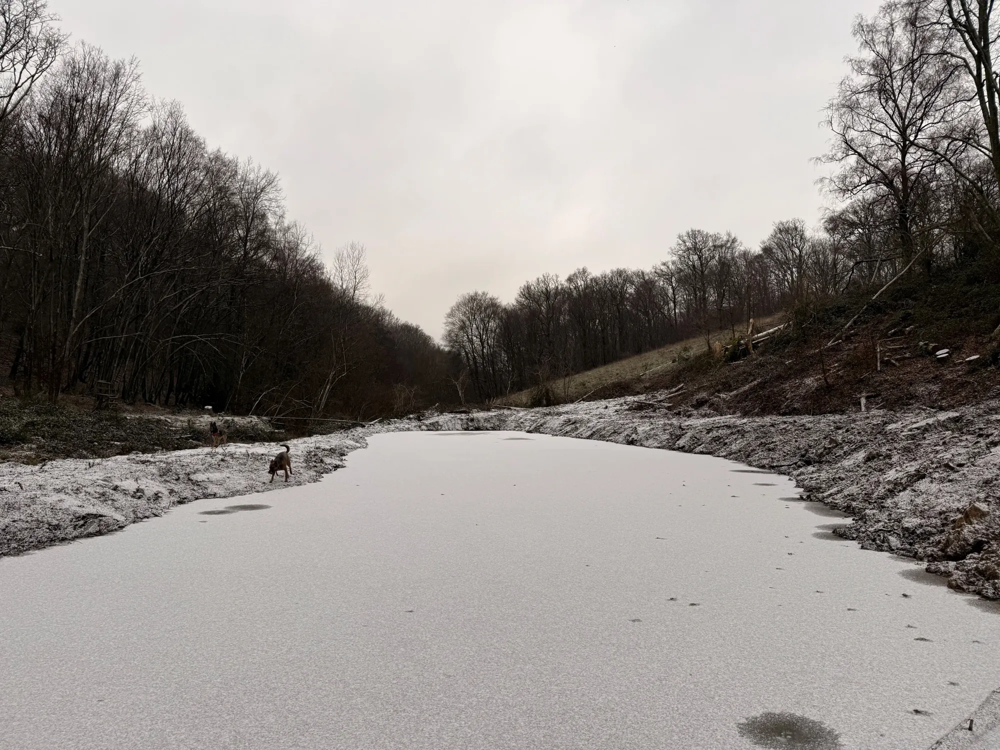 Une mare sous le gel au matin du 1er janvier 2026.