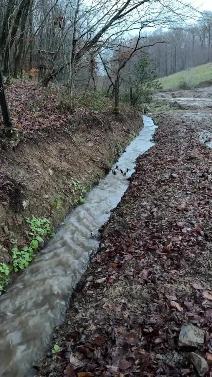 Le ruisseau à ciel ouvert, le 30 novembre 2025.