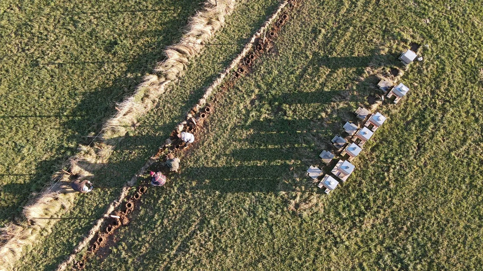 Le chantier de plantation vu du ciel.