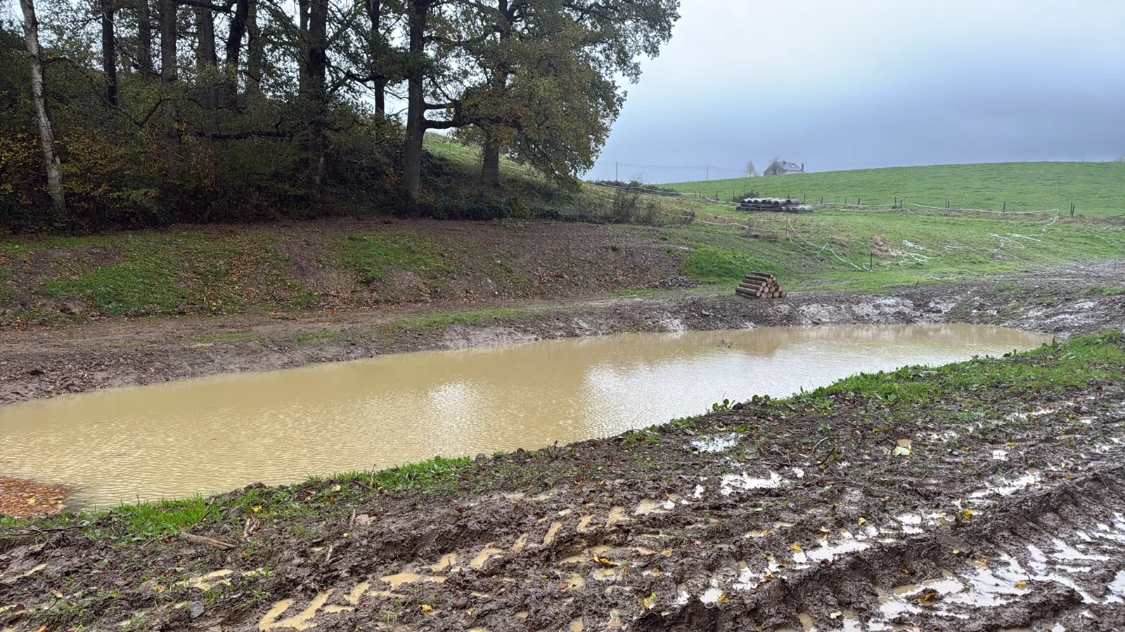 La mare et ses berges après les travaux