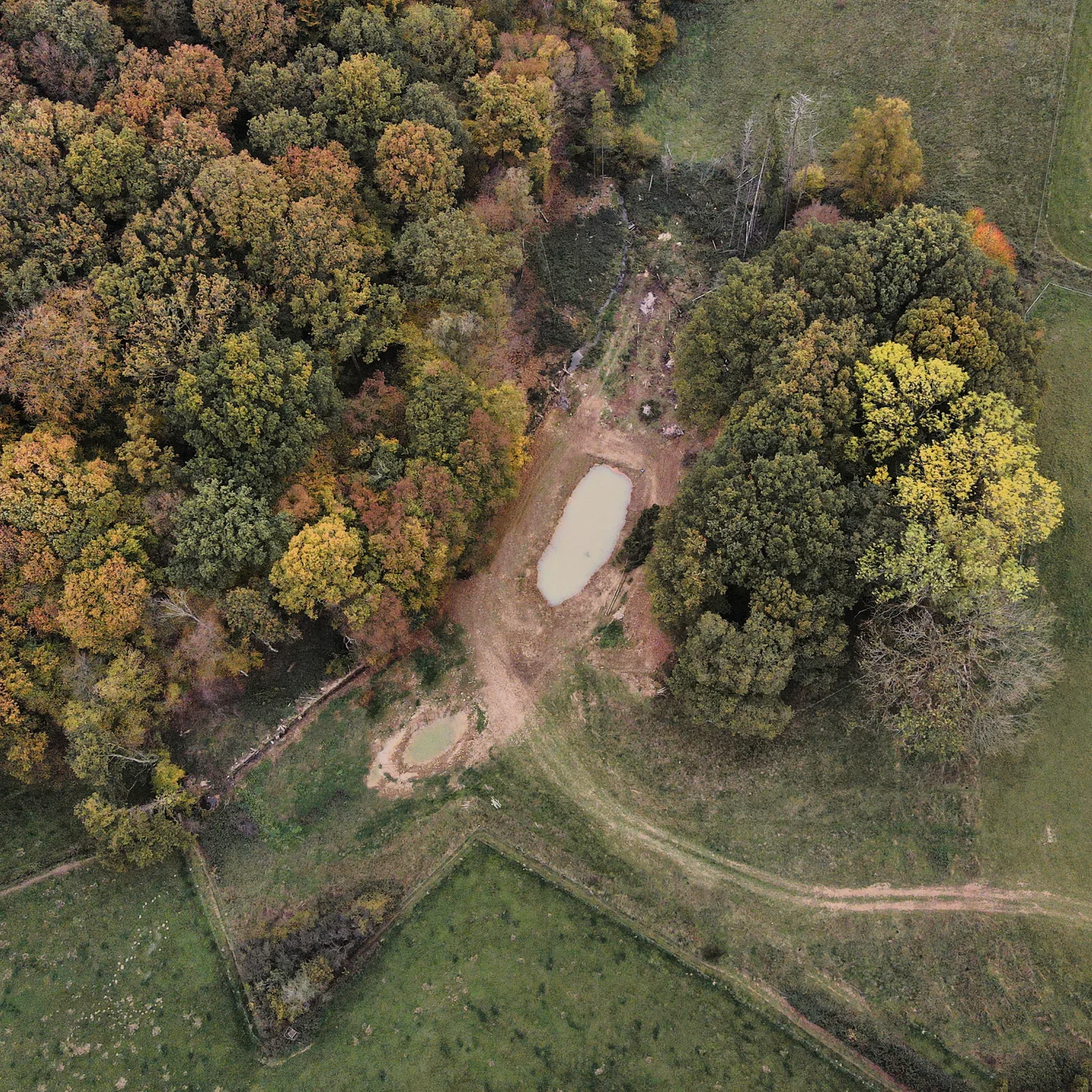 Vue aérienne des mares et de la lisière en automne
