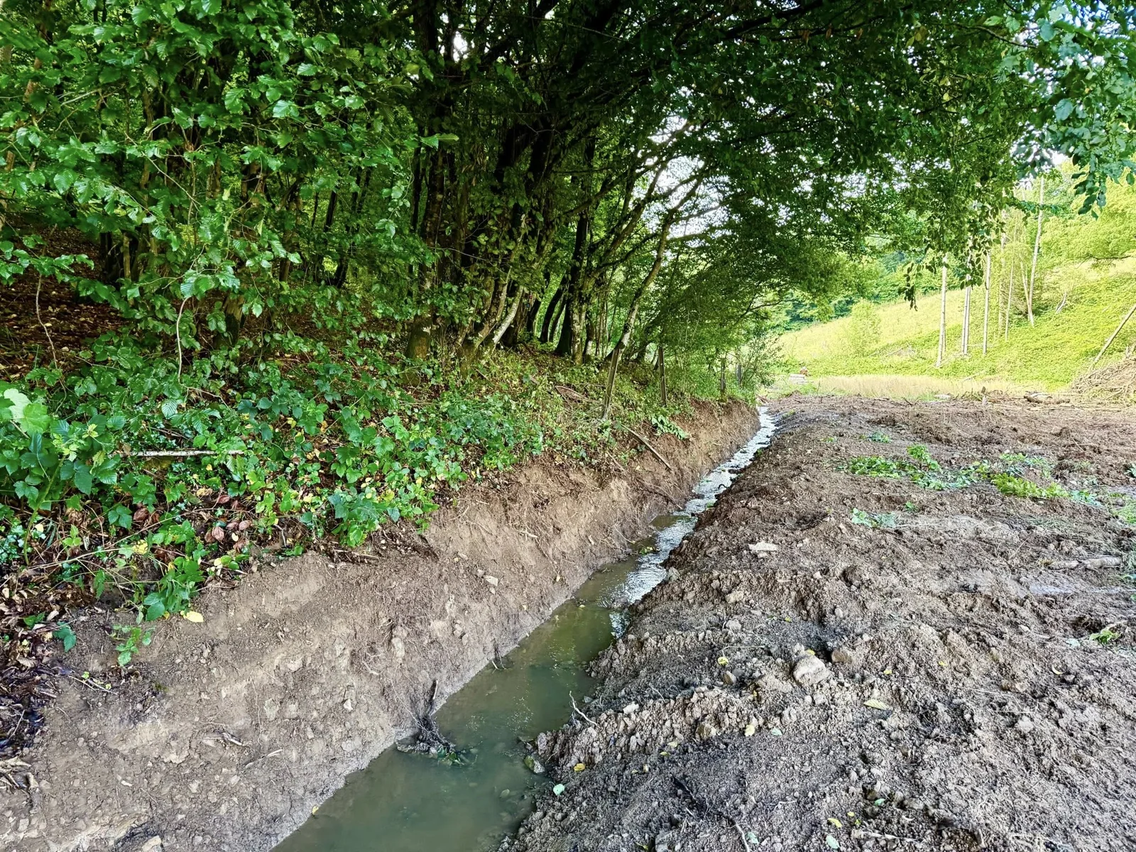 Le lit du ruisseau à ciel ouvert après le retrait des buses.