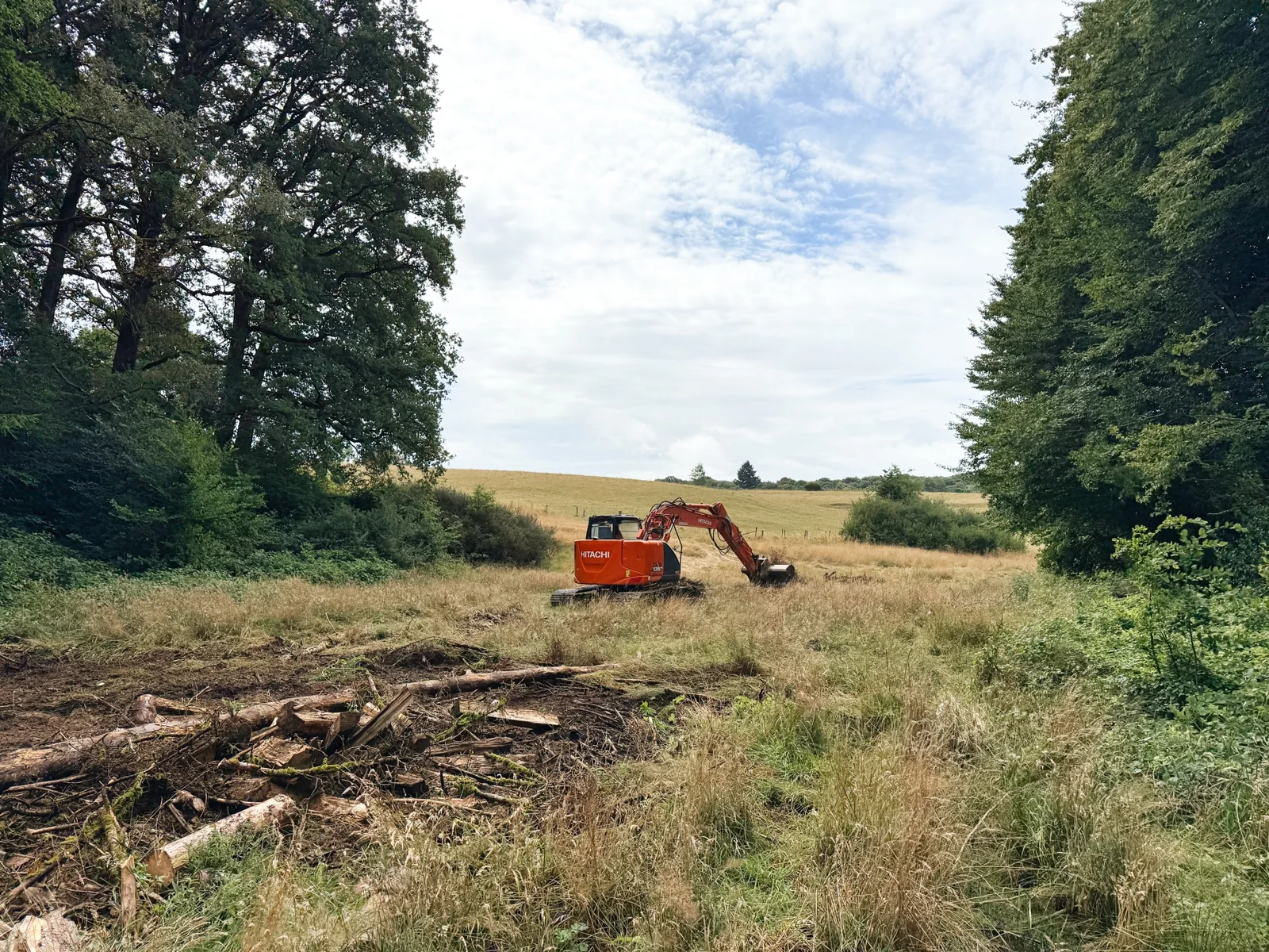 Travaux de restauration dans la prairie