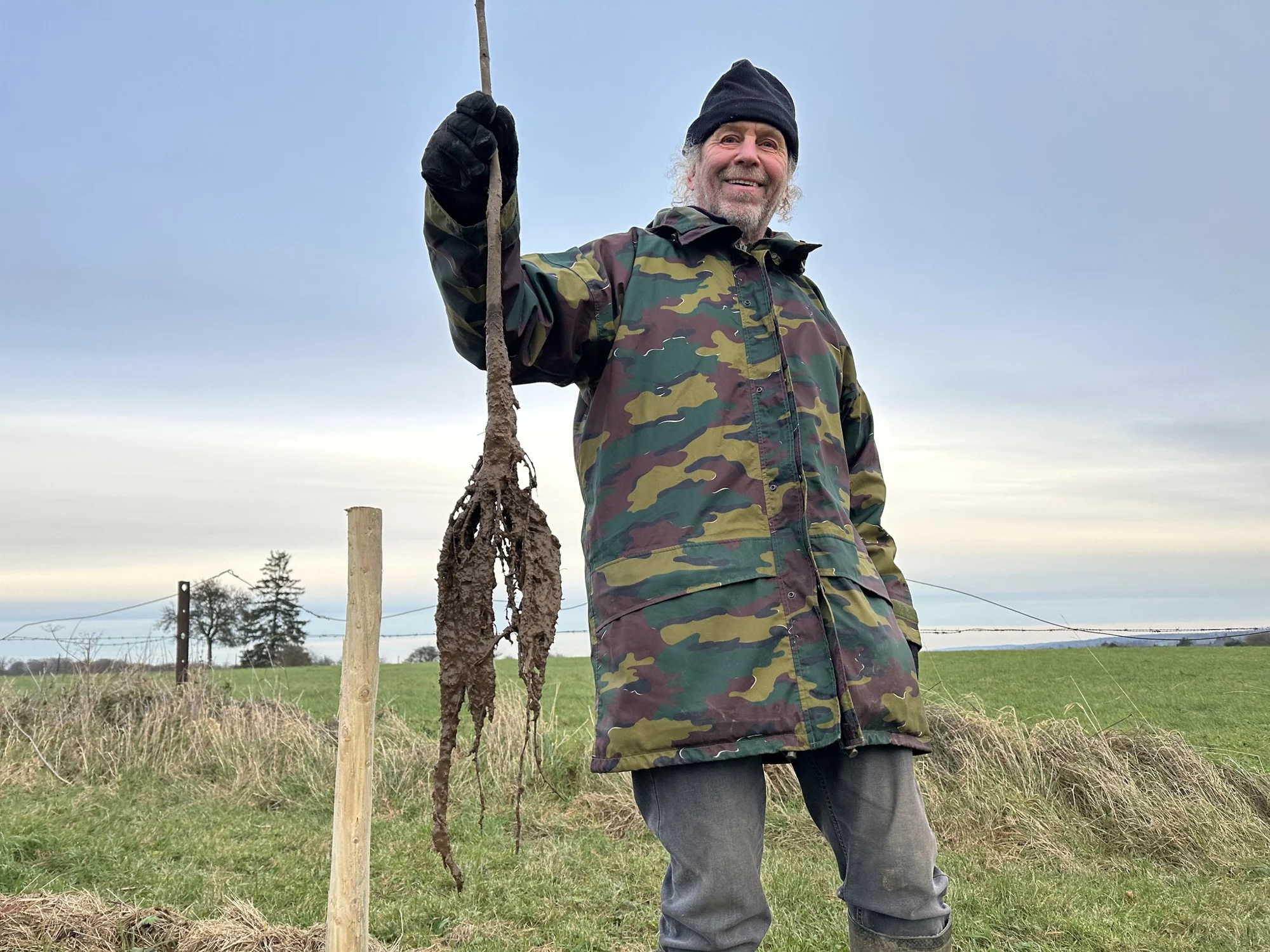 Un jeune arbre à racines nues, prêt à être planté près de son tuteur