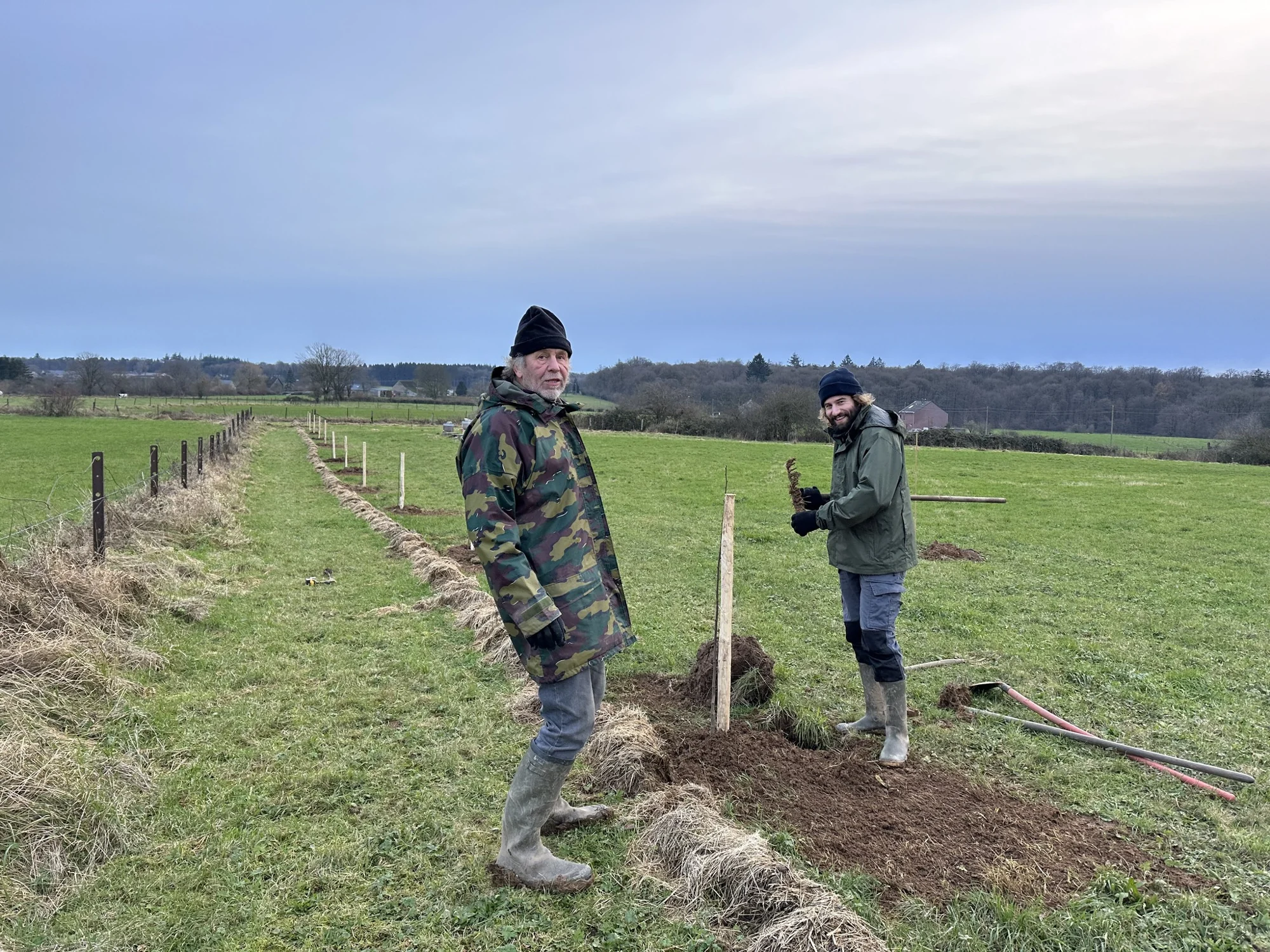 Plantation à deux, au pied d’un jeune arbre et de son tuteur dans la prairie