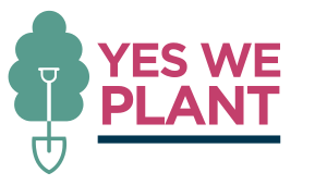 Yes We Plant, programme wallon de plantation