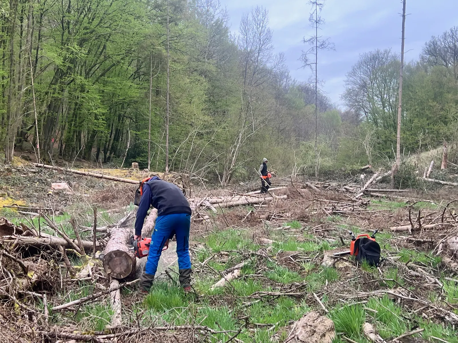 Travail sur le bois resté au sol dans la zone ouverte, le 16 avril 2025.