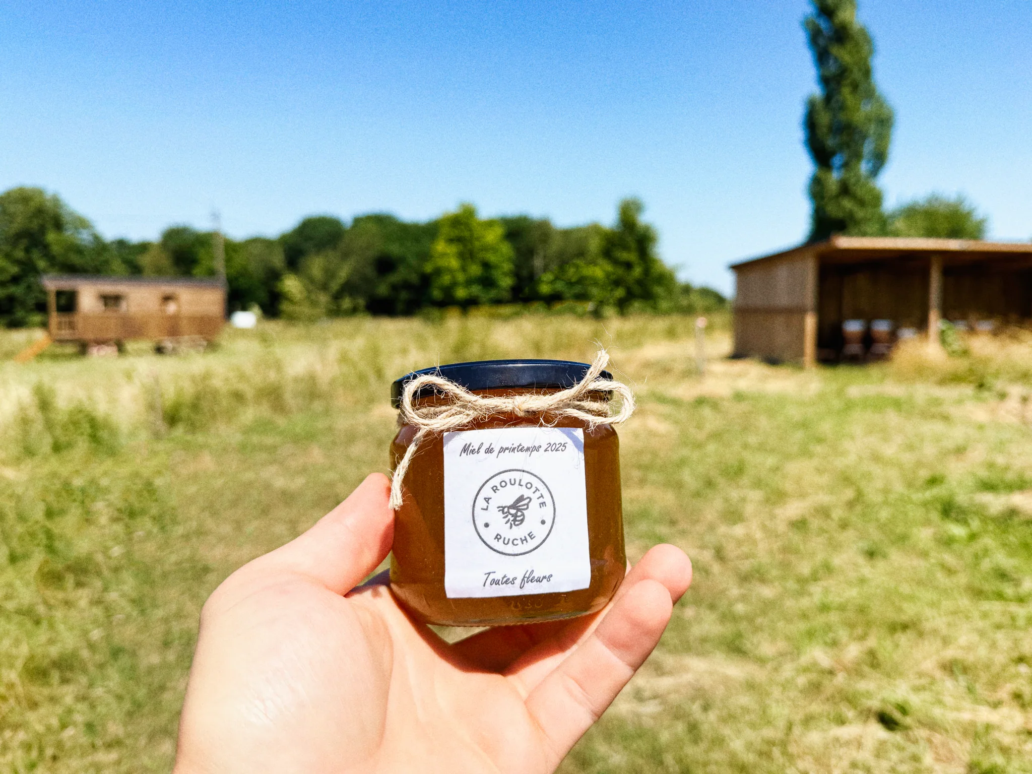 Un pot de miel tenu devant le rucher