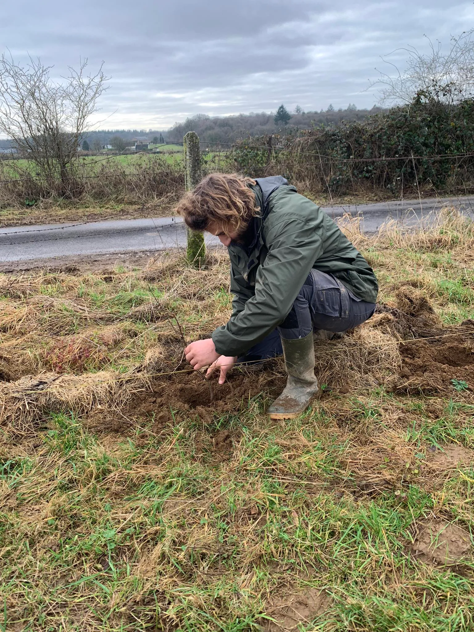 Louis plante une haie au bord de la route