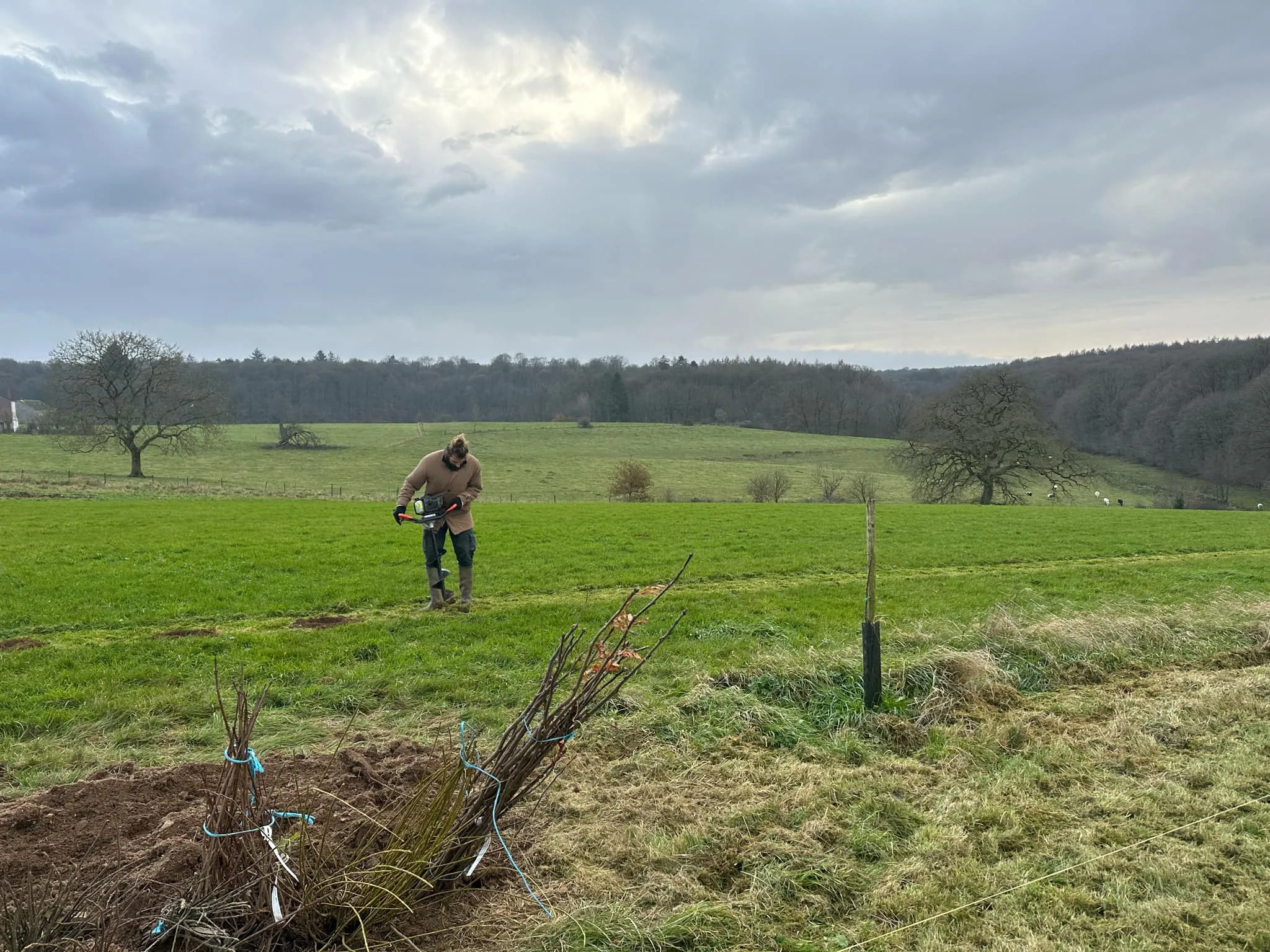 Préparation des trous de plantation à la tarière.