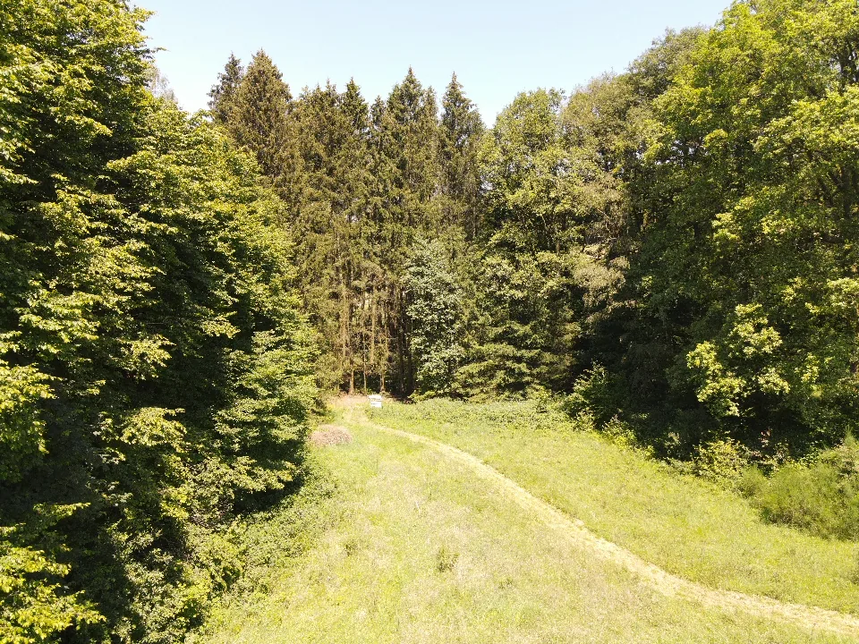 Vue oblique du fond de vallée, entre prairie et arbres